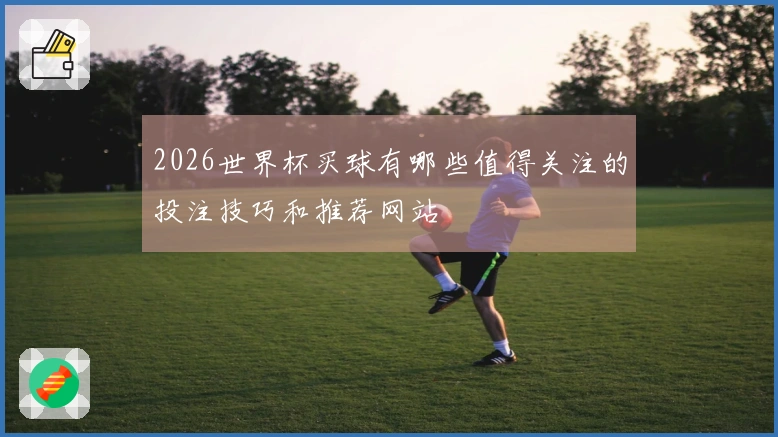 2026世界杯买球有哪些值得关注的投注技巧和推荐网站