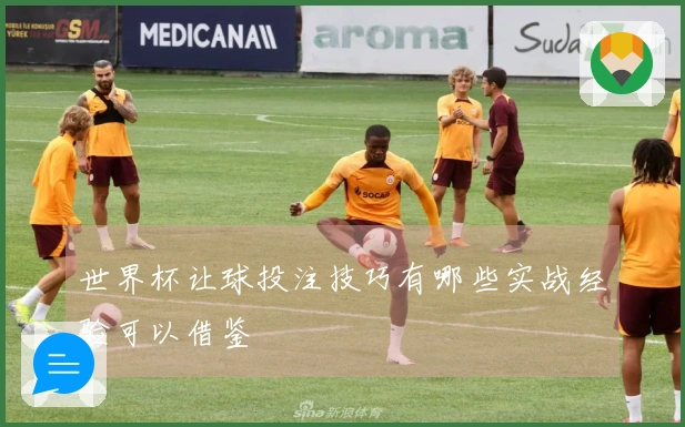 世界杯让球投注技巧有哪些实战经验可以借鉴