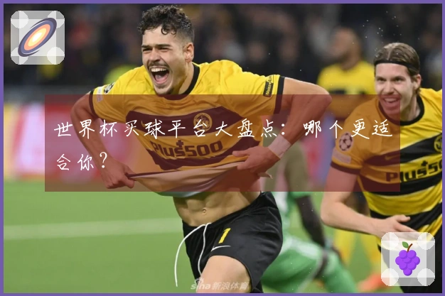 世界杯买球平台大盘点：哪个更适合你？